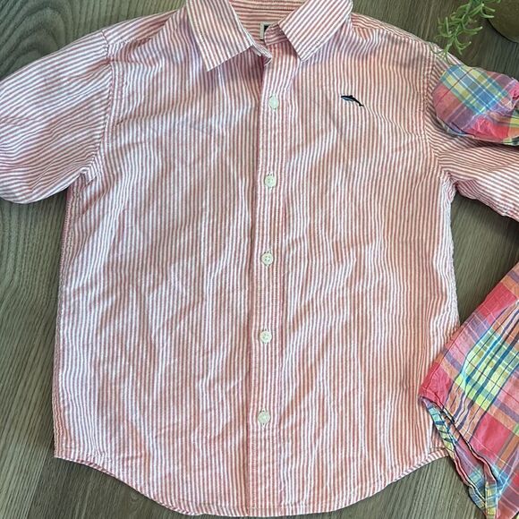 ((3 PIECE)) JANIE AND JACK 100% COTTON BUTTON DOWN SHIRT BUNDLE SIZE 5 - Picture 4 of 7